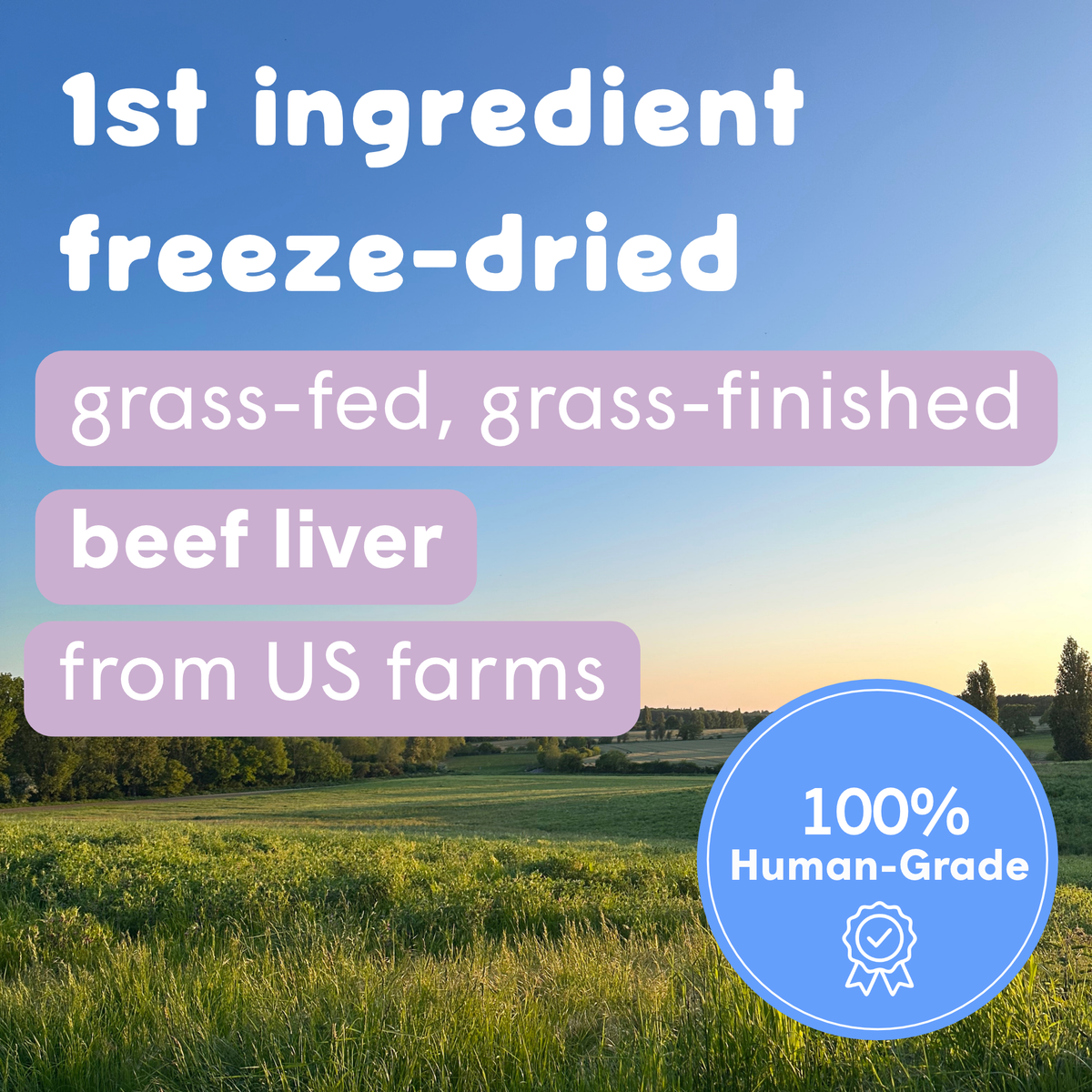 Lickable Treat Mix, Freeze-Dried Beef Liver Recipe, Just Add Fresh Water