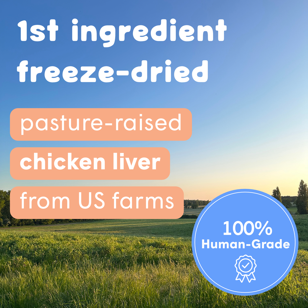 Lickable Treat Mix, Freeze-Dried Chicken Liver Recipe, Just Add Fresh Water
